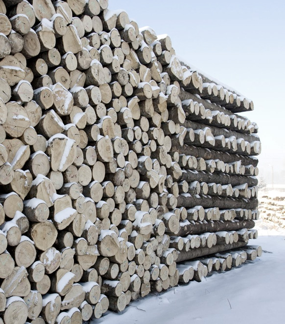 綠色環保標準板打造